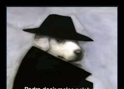 Enlace a Maleducado, pero con modales