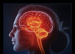 Enlace a 20 vatios para pensar en tonterías