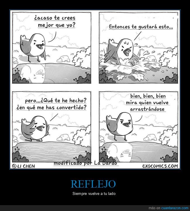 orgullo,rivalidad,humillaci&oacute;n,regreso,p&aacute;jaro