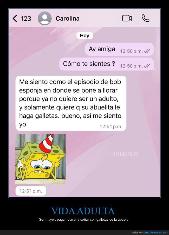 whatsapp,conversacion,adultos,bobesponja,galletas