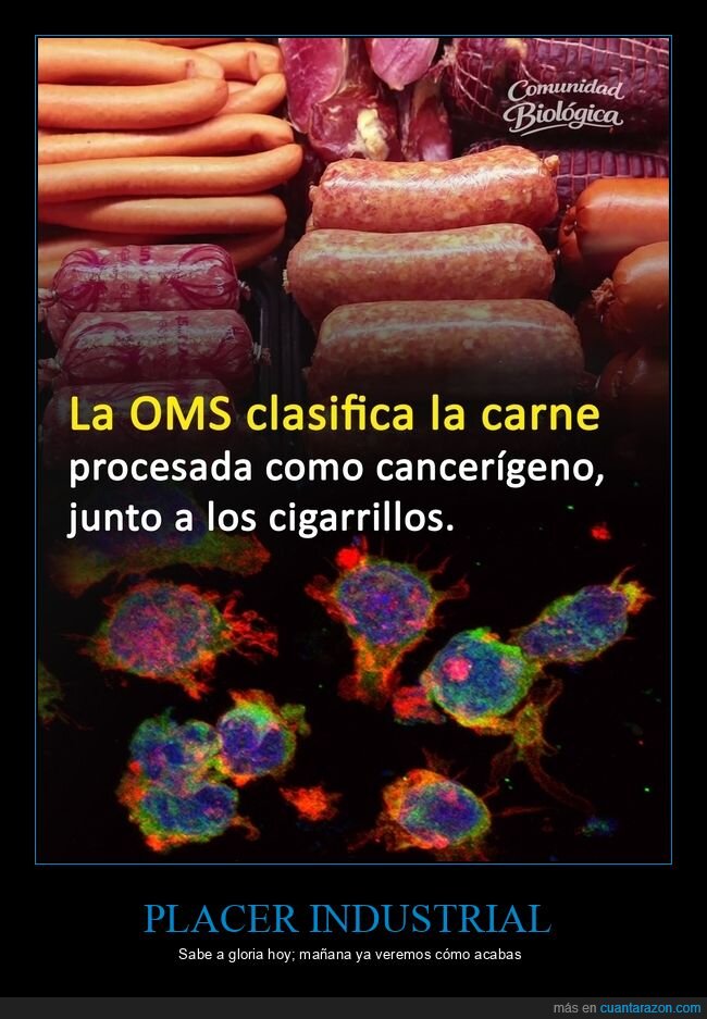 OMS,carne,cancerigeno,embutidos,salud