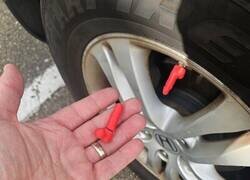 Enlace a Qué significará esto