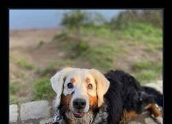 Enlace a Pero dónde vas a ir con esa carita