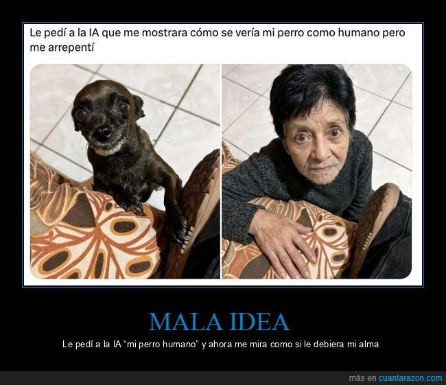 perro,IA,transformacion,susto,arrepentimiento