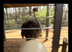 Enlace a Me siento poderoso sujetando esto