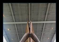 Enlace a Esqueleto de ballena azul de 25,9 metros en Vancouver, Canadá