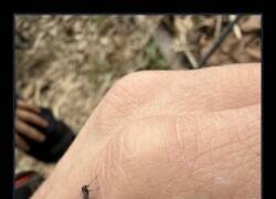 Enlace a Yo solo quería aire… y me montan un trío encima