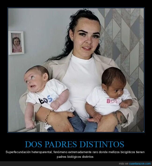 gemelos,paternidad,ADN,sorpresa,telenovela