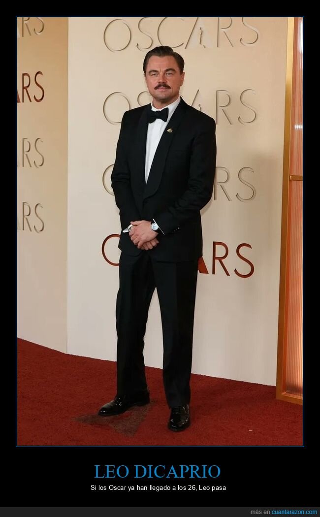 &Oacute;scar,alfombra,despedida,glamour,premios