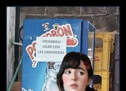 Enlace a Si hay cartel, hay historia