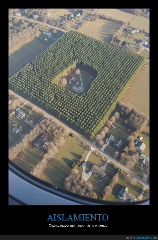 a&eacute;rea,bosque,casa,aislamiento,privacidad
