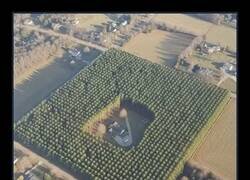 Enlace a Con los años entiendes que el “espacio personal” a veces es un bosque con valla