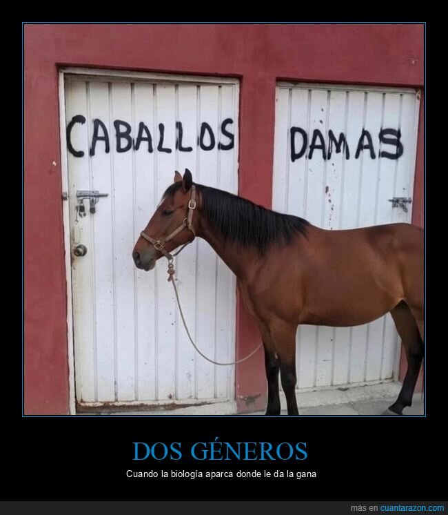 caballo,g&eacute;nero,ba&ntilde;os,carteles,confusi&oacute;n