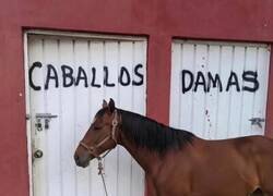 Enlace a Yo no entro en etiquetas