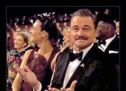 Enlace a Gracias por el nuevo meme, Leo