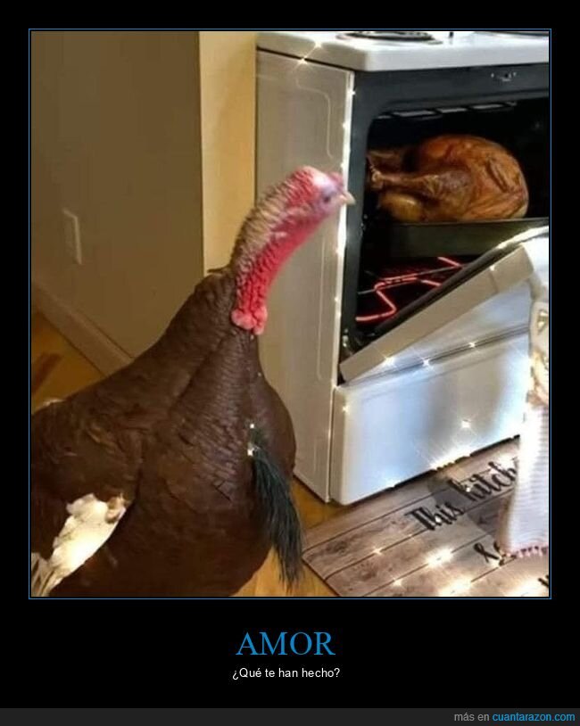 amor,horno,pavo,cocina,navidad