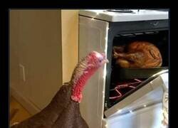 Enlace a Cuando descubres que tu novio es la cena de Acción de Gracias