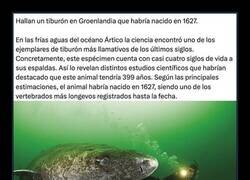 Enlace a Tengo 399 años, ¿me dejas en paz ya?