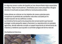 Enlace a Te quitamos el nido, pero te ponemos un ático con vistas