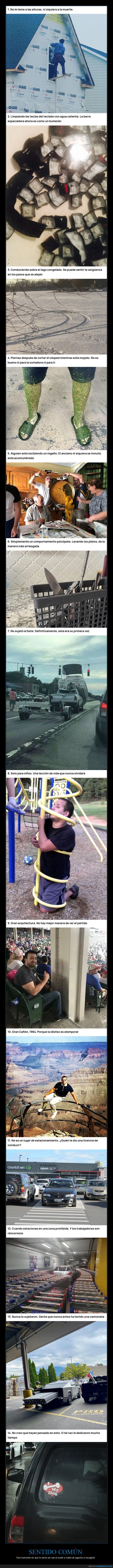 fail,sentidocom&uacute;n,despiste,absurdo,chapuza