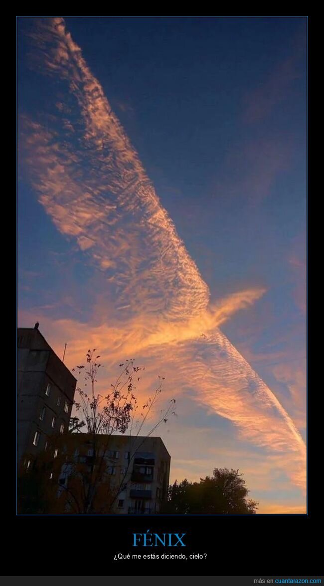 nube,fenix,atardecer,cielo,pareidolia