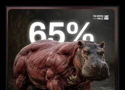 Enlace a Éste sí que está fuertecito de verdad