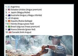 Enlace a Leyendo el “top 10” mientras mastico el filete en oferta