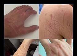 Enlace a Me he echado una siesta tan buena que he vuelto con tatuajes