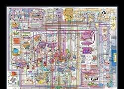 Enlace a La complejidad del cerebro humano y sus funciones se muestran en un detallado mapa infográfico.