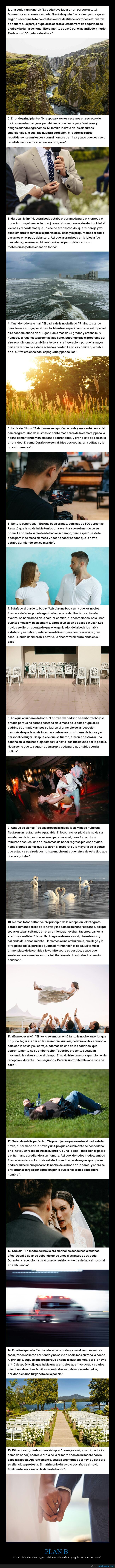 boda,caos,drama,novios,invitados