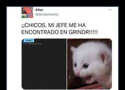 Enlace a Alguien va a tener un ascenso