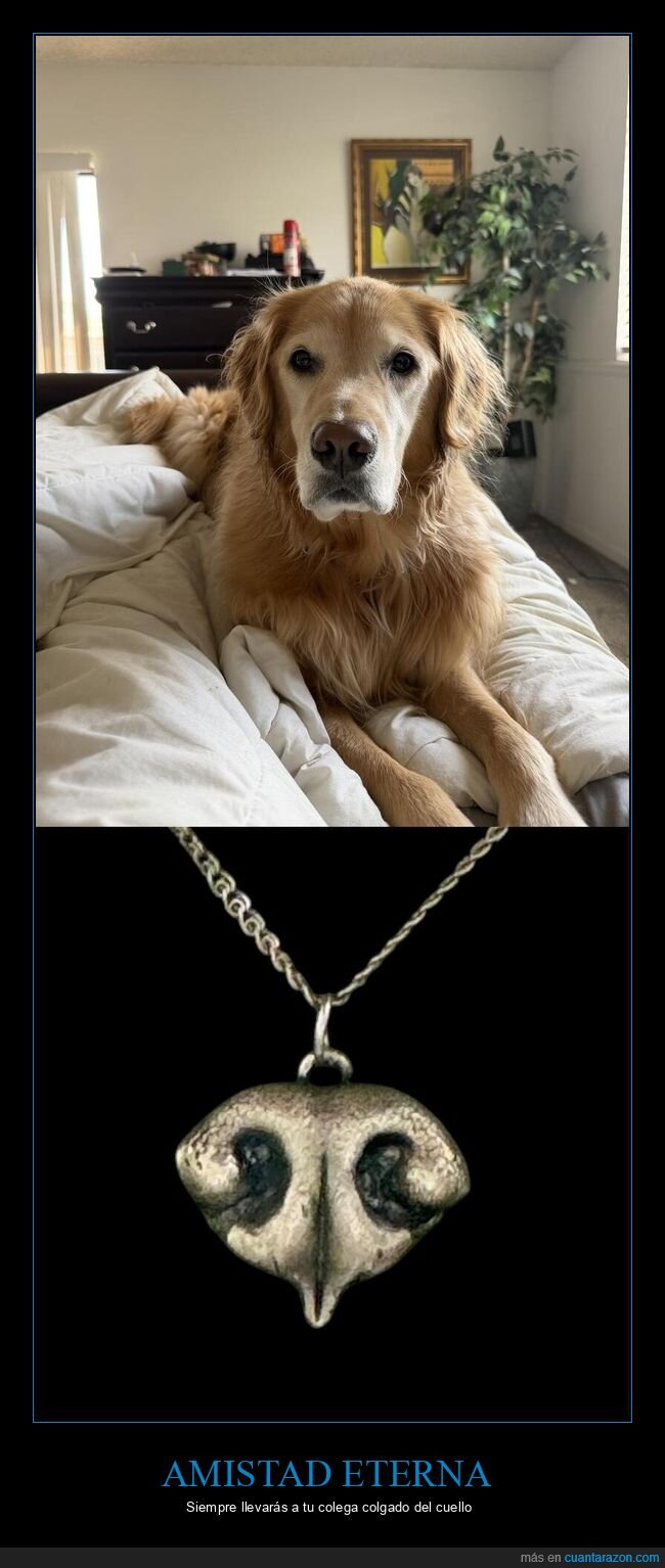 amistad,colgante,manualidades,nariz,absurdo
