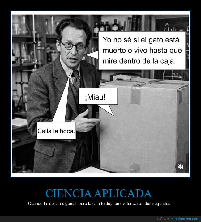 Schr&ouml;dinger,gato,caja,f&iacute;sica,experimento