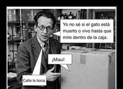 Enlace a Mucho Schrödinger y poca caja