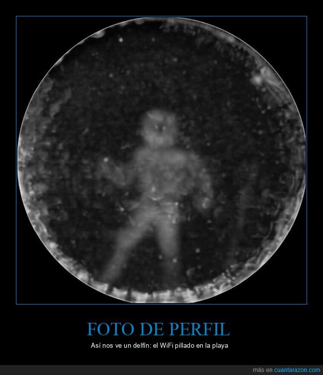 delfines,ecolocacion,humanos,borroso,submarino