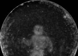 Enlace a Así es como los delfines perciben a los humanos mediante la ecolocalización