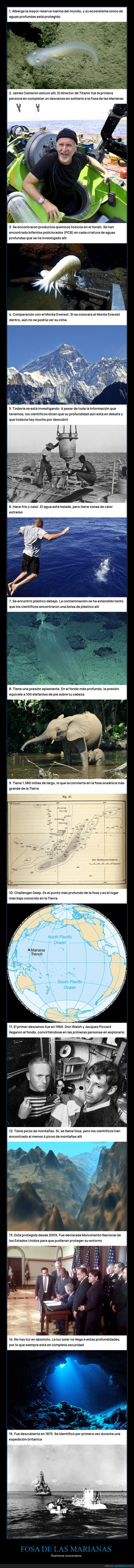 curiosidades,oc&eacute;ano,fosas,trinchera,conocimiento