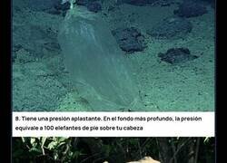 Enlace a 15 datos fascinantes sobre la Fosa de las Marianas