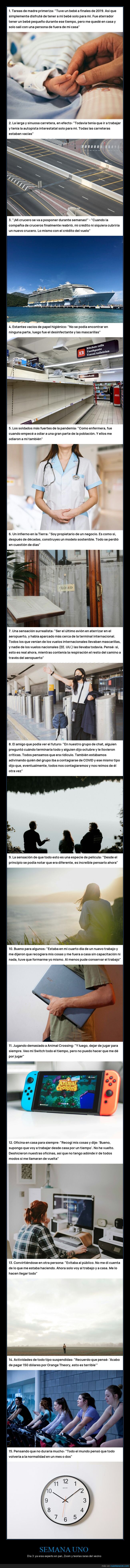 covid,confinamiento,zoom,pan,recuerdos