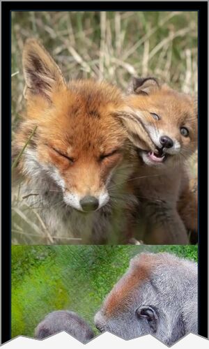 Mejor cartel de ayer