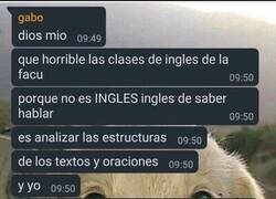 Enlace a Yo aprendí inglés en Netflix, profe