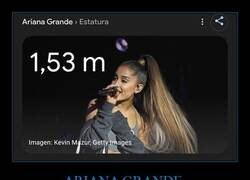 Enlace a No es baja, es edición en miniatura