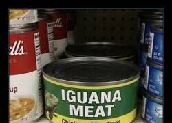 Enlace a Pollo de los árboles