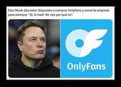 Enlace a Musk, a mí no me la cuelas