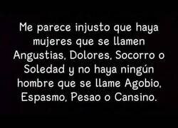 Enlace a ¿Dónde está el señor Pesao?