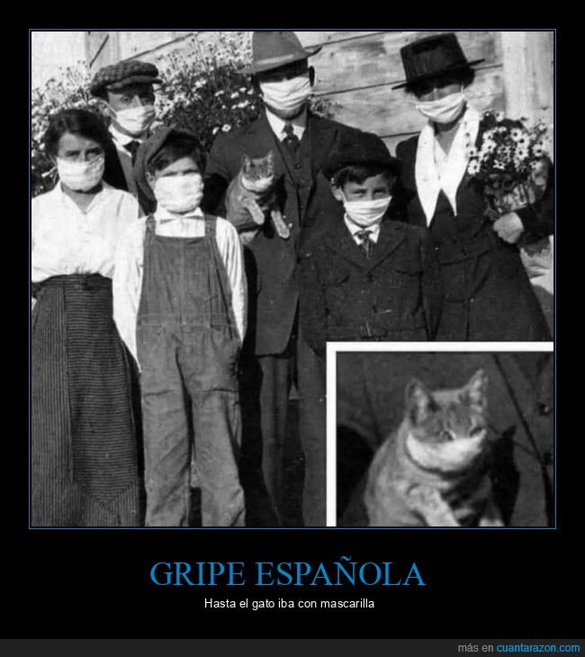 familia,mascarillas,gripe,1918,gato