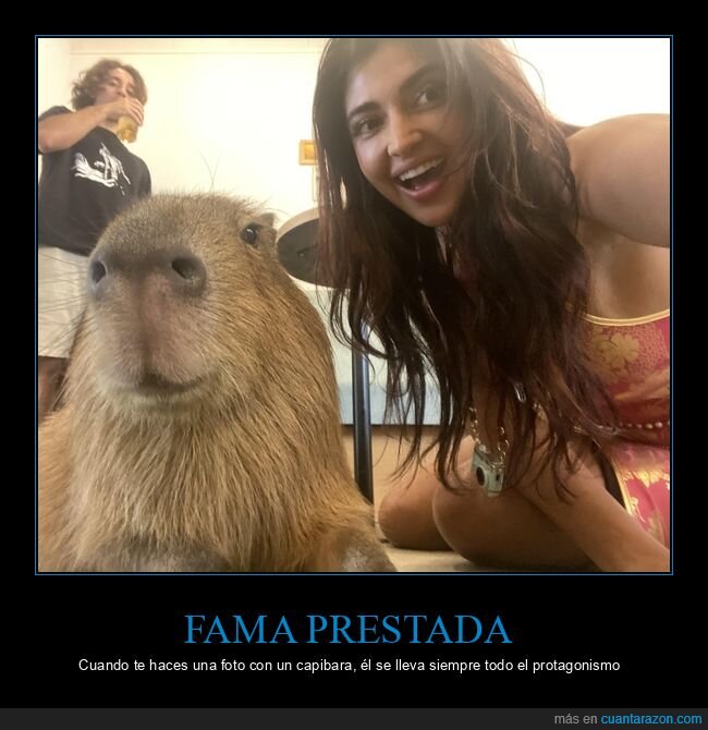 capibara,selfie,mascota,protagonismo,fotobomba