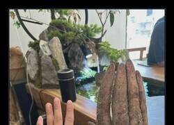 Enlace a Me daría muy mal rollo cocinarlo