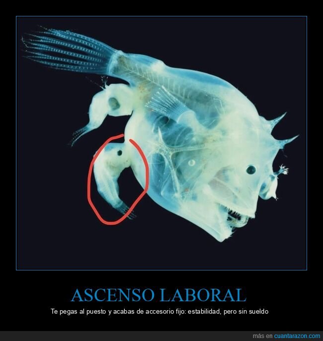 rape,apareamiento,par&aacute;sito,fusi&oacute;n,biolog&iacute;a