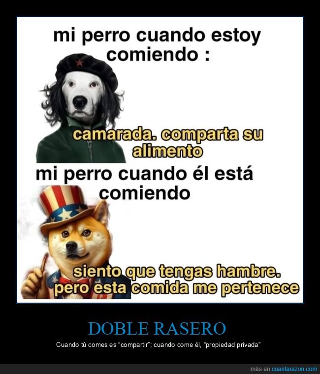 perro,comida,hipocres&iacute;a,compartir,posesi&oacute;n